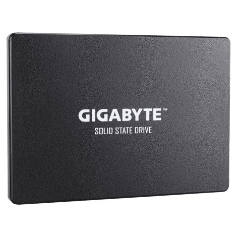 Gigabyte SSD/256GB/SSD/2,5"/SATA/3R GP-GSTFS31256GTND